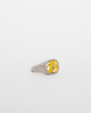 NATURES SMILE SIGNET YELLOW